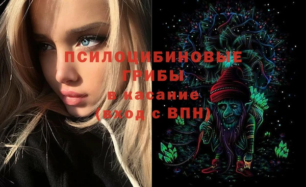 ПСИЛОЦИБИНОВЫЕ ГРИБЫ Балахна