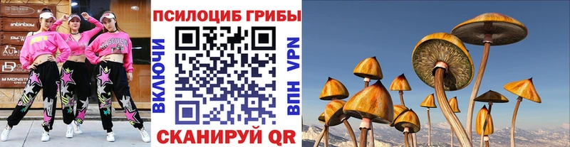 omg зеркало Баксан Галлюциногенные грибы MAGIC MUSHROOMS как найти закладки