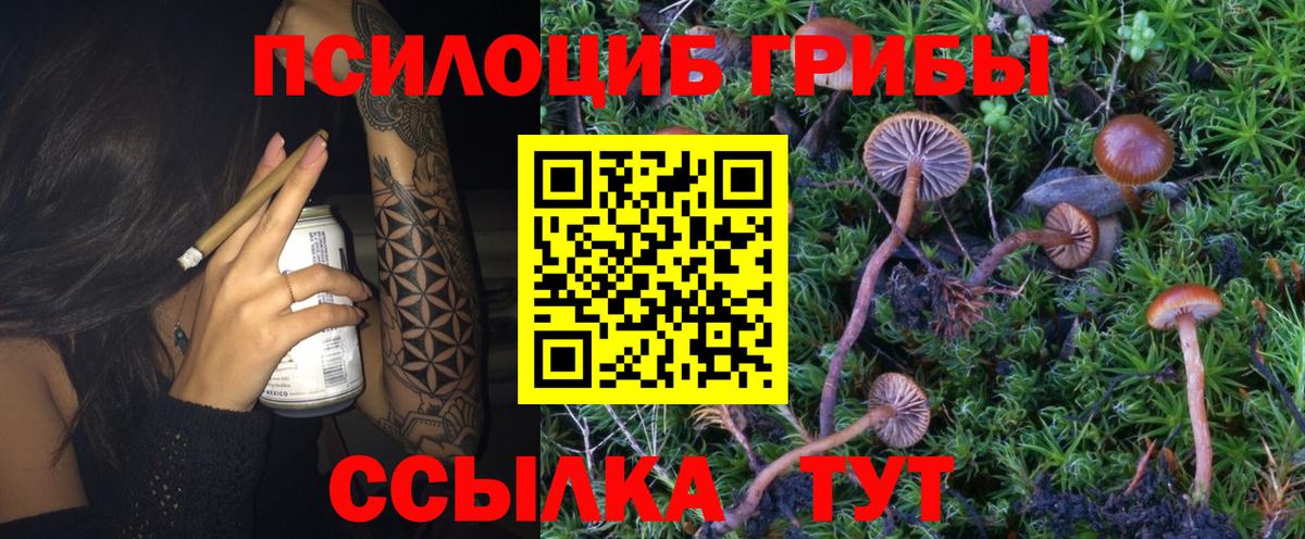 Псилоцибиновые грибы ЛСД Баксан