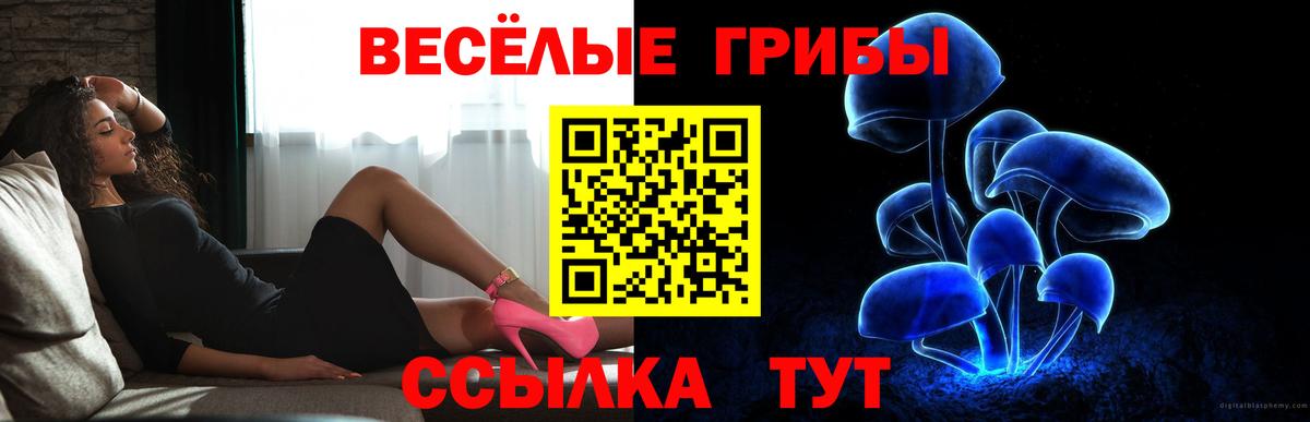 Баксан  Галлюциногенные грибы мицелий  Вход с VPN  Псилоцибиновые грибы MAGIC MUSHROOMS 